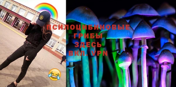 спиды Алексеевка