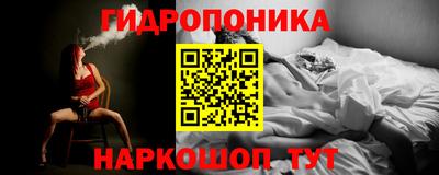 ECSTASY Бердск