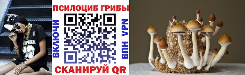 Галлюциногенные грибы мицелий Большой Камень