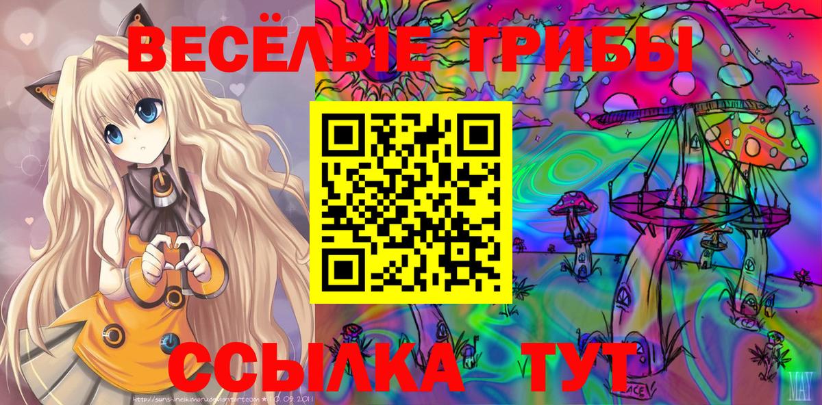 Большой Камень  Галлюциногенные грибы Psilocybine cubensis  Вход с VPN 